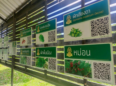 โครงการส่งเสริมและพัฒนาอาชีพเพื่อแก้ไขปัญหาที่ดินทำกินของเกษตรกรประจำปีงบประมาณ พ.ศ.2567 ... Image 15